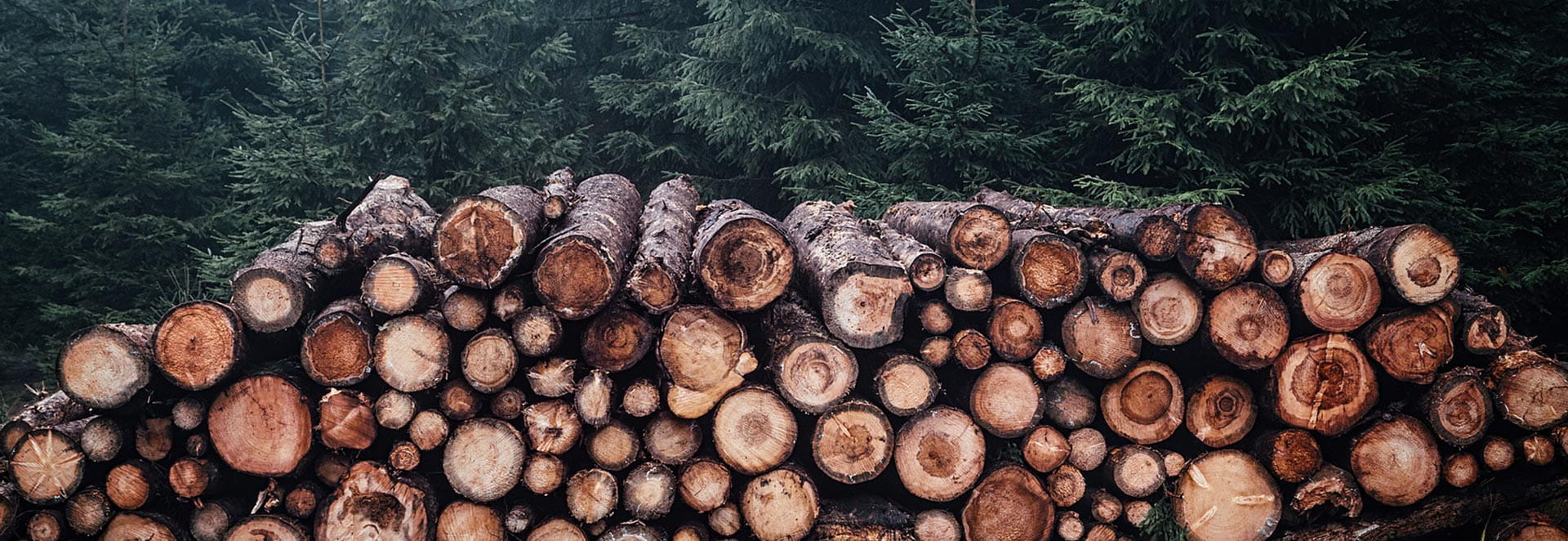 Suzhou Dicosbo Wood Co,. Ltd.